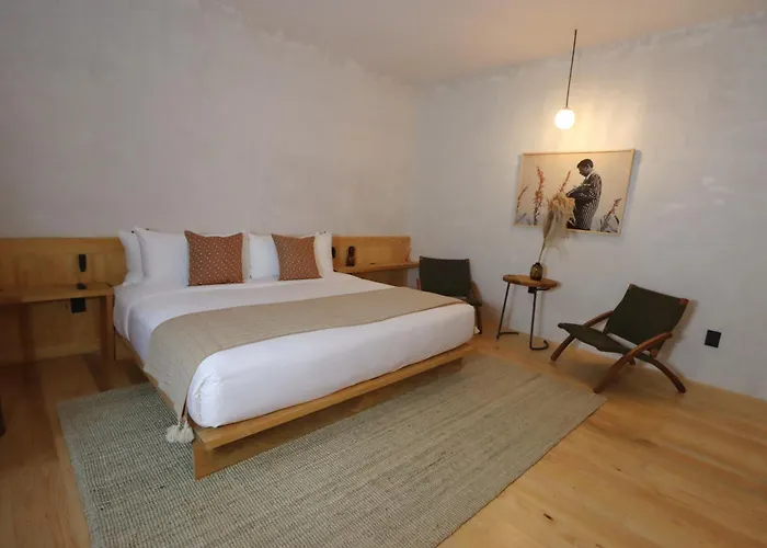 Hotel Casa Almamia Mexico City