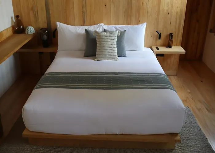 Hotel Casa Almamia Mexico City