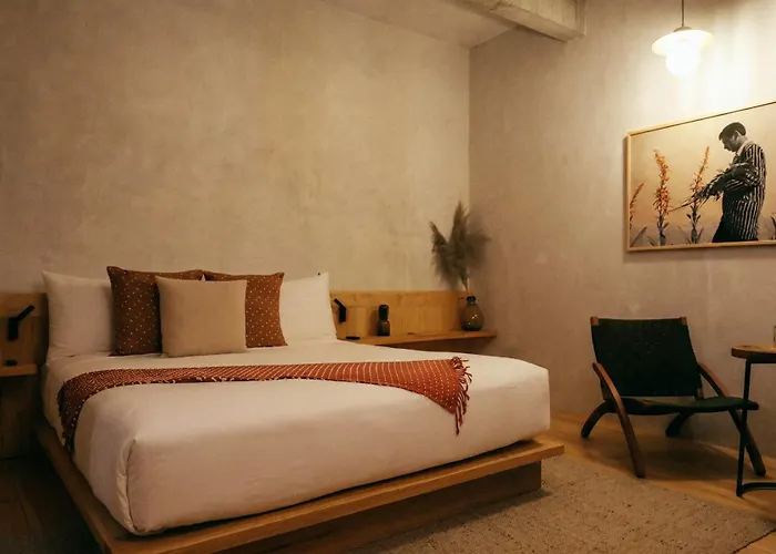 Casa Almamia Hotel Mexico City