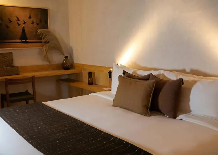 Casa Almamia 5* Mexico City